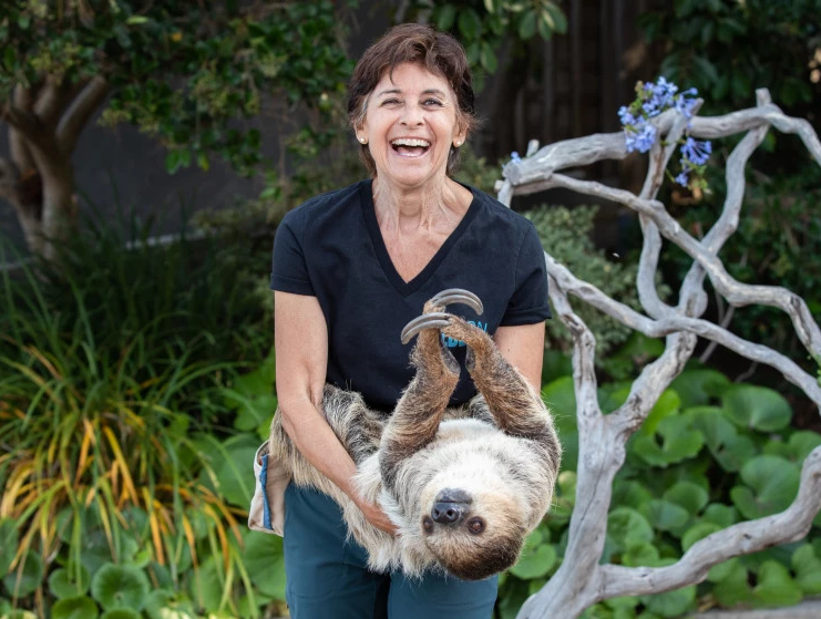 Julie Scardina