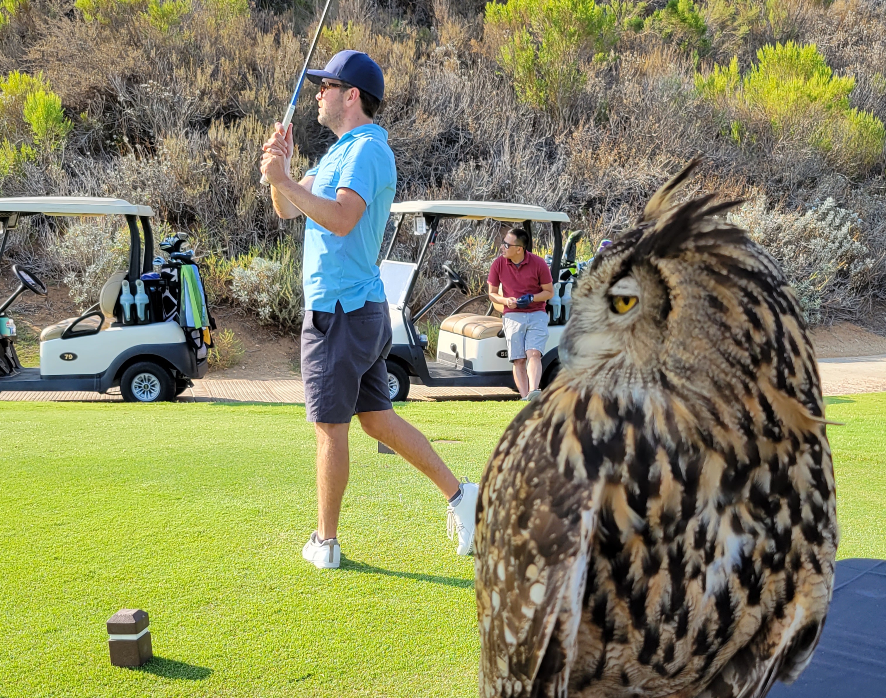 Golfing Fore Critters